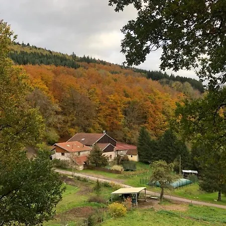 Babel Granges-Aumontzey