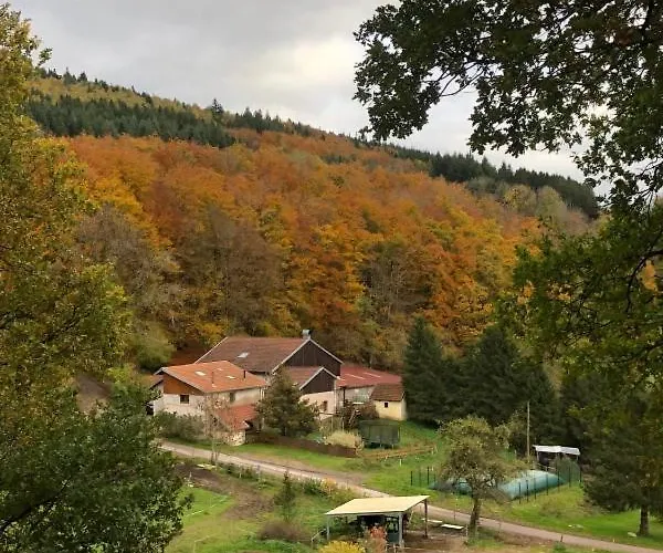 Babel Granges-Aumontzey